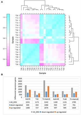 Trichoderma-Induced Ethylene Responsive Factor MsERF105 Mediates Defense Responses in Malus sieversii